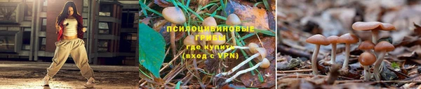 таблы Верея