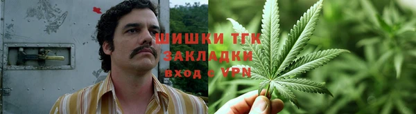 молекула духа Покачи