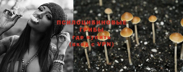 таблы Верея